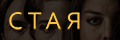 Стая
